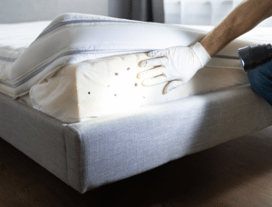 BedBugs-ContentI-300x228