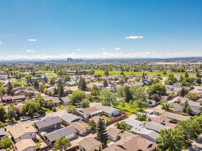 Whitehorn’s Hidden Pest Problems: Cal-Rid’s Local Solutions for Safer Homes