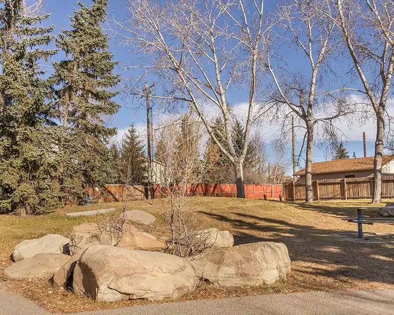 Falconridge Pest Control: Keeping Your Community Safe, One Home at a Time