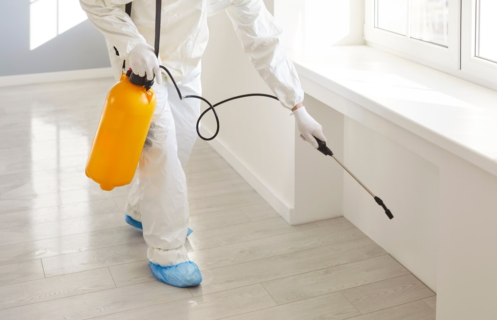 Pest Control in McCall Calgary: Full-Service, Family-Safe Protection by Cal-Rid Pest Control
