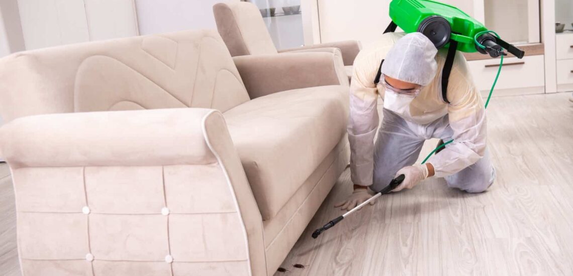 Pest Control in South Airways Calgary: Full-Service, Family-Safe Protection by Cal-Rid Pest Control