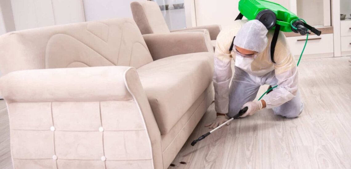 Pest Control in Skyview Ranch Calgary: Safe, Reliable Protection for Modern Living